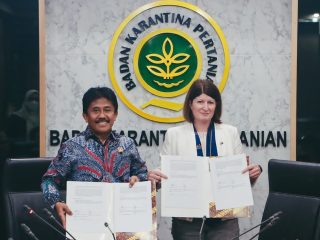 Karantina Pertanian Buka Kemball Kran Impor Sapi Asal Australia