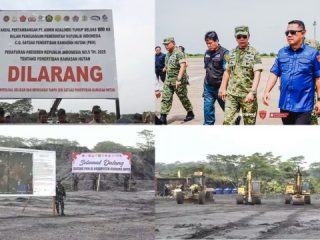 Satgas PKH Kuasai Kembali Lahan Pertambangan PT AKT di Kalimantan Tengah