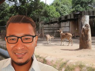 Menakar Daya Paksa Arahan Presiden Lewat Kasus Kebun Binatang Bandung