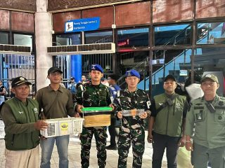 Operasi TNI AL di KM Gunung Dempo Berhasil Selamatkan Delapan Satwa Dilindungi
