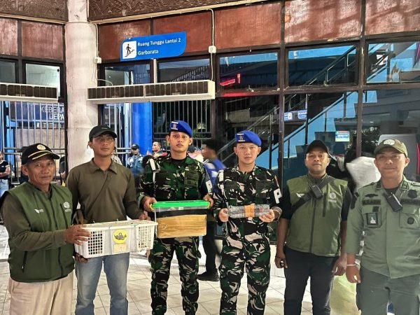 Operasi TNI AL di KM Gunung Dempo Berhasil Selamatkan Delapan Satwa Dilindungi