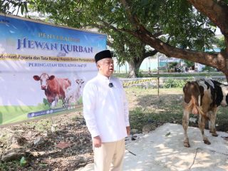 Semarak Iduladha 1447 H, Menteri Nusron Salurkan Hewan Kurban ke Pondok Pesantren Attaqwa