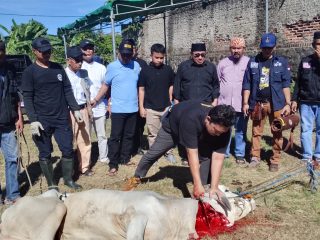 PWI Banten dan SMSI Banten Potong Dua Sapi Dari Gubernur dan Kapolda Banten