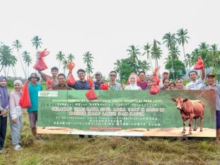 Momentum Iduladha, PT IGIP Dorong Harmonisasi Sosial Lewat Penyaluran Hewan Kurban di Morowali