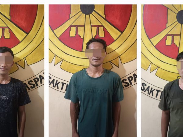Polsek Seputih Mataram Amankan 3 Pelaku Pencurian Buah Sawit di PT GMP