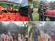 Merawat Asa di Tanah Papua, Satgas Yonif 521/DY Tebarkan Kepedulian bagi Warga Distrik Walesi