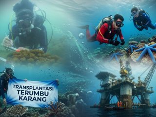 Lewat Program Jaga Pesisir Kita dan Rig to Reef, PHI Dorong Keberlanjutan Lingkungan Bawah Laut Regional Kalimantan