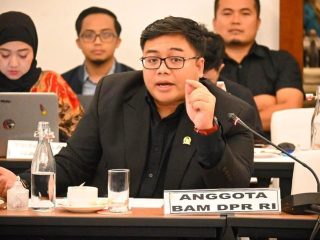 Legislator Partai Gerindra: Jangan Sampai Perusahaan Digital Global Untung Besar, Indonesia Hanya Jadi Pasar