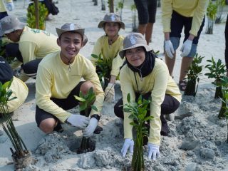 Tak Sekadar Migas, PHI Turun Langsung Rehabilitasi Ekosistem Pesisir di Pulau Pari