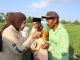 Tinjau Sentra Perbenihan Padi Bulungan, Hj. Rahmawati: Program Prabowo Bikin Petani Makin Optimistis