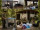 Macan Kumbang Masuk Kampung, BKSDA dan Taman Safari Turun Tangan Tangani Satwa