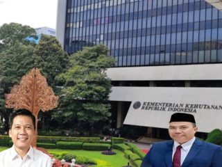 12 Izin Kehutanan Disorot KPK dan Kejagung, Matahukum Soroti Peran Sekjen Kemenhut