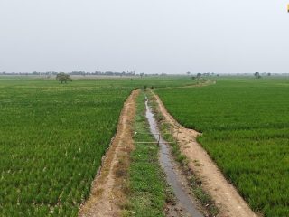 Tangani Kekeringan Karawang, Kementerian PU Kirim 20 Pompa ke Pakisjaya